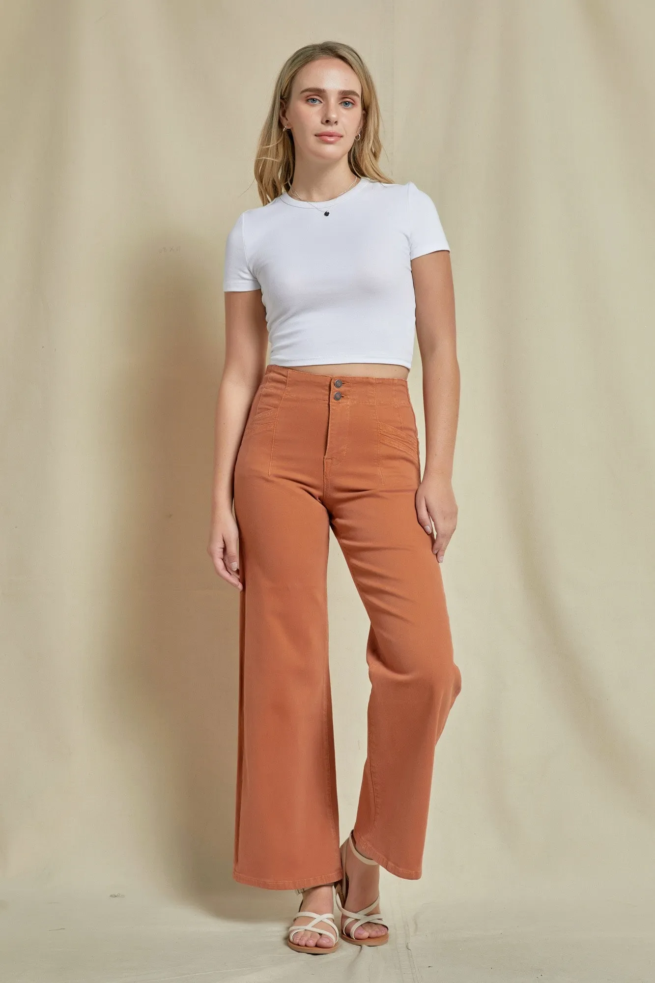 Cinnamon High Rise Wide Leg Denim Pants | Mica