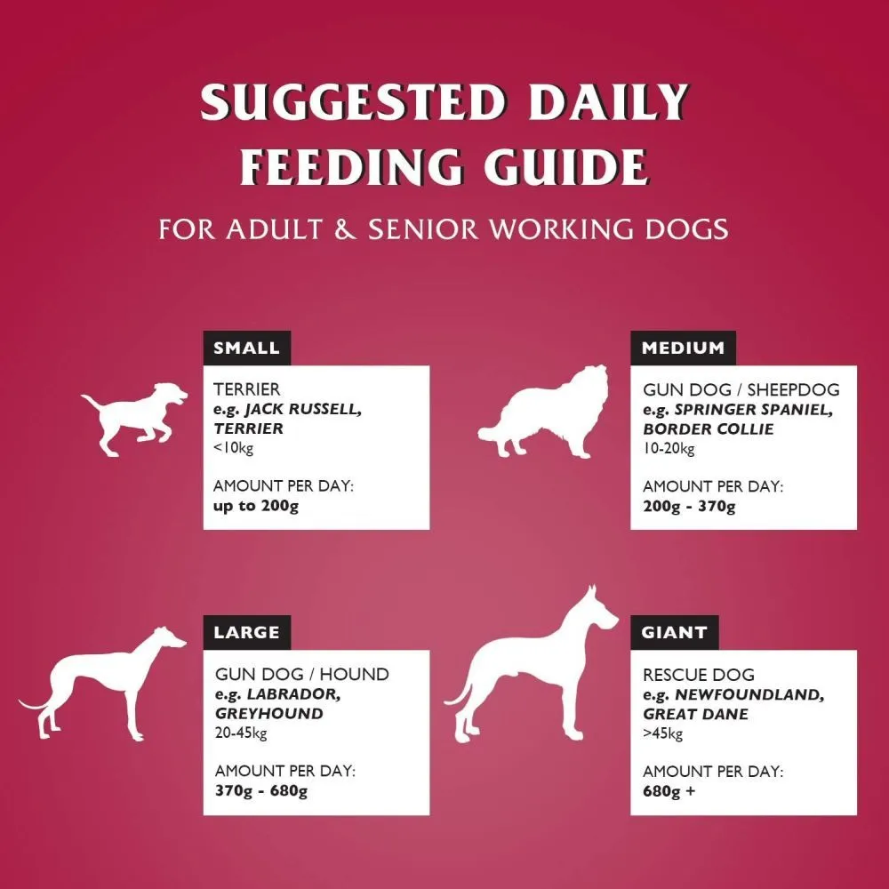 Dr John 15kg Silver With Beef Adult Dog Food