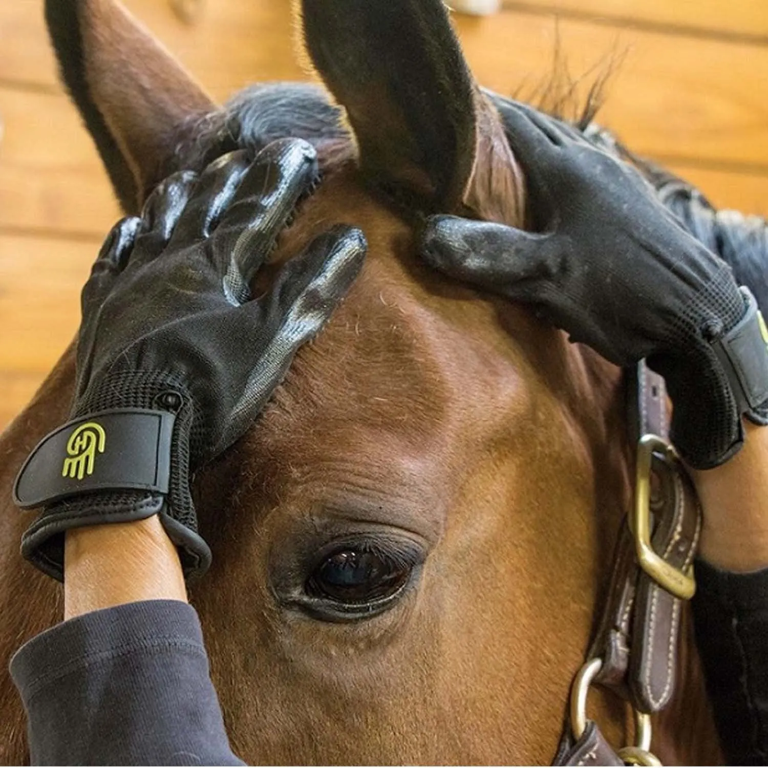 Lemieux Hands On Grooming Glove