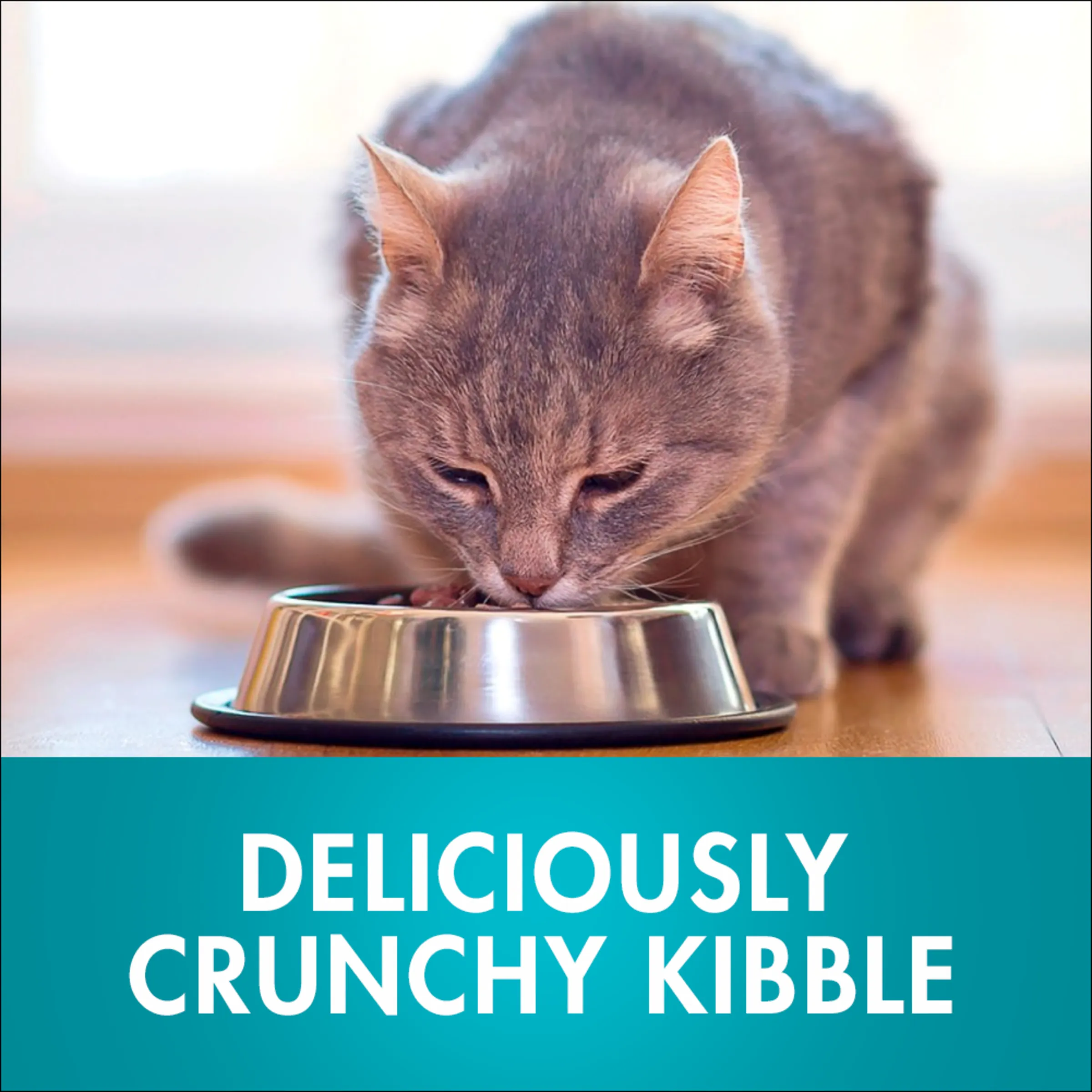 Purina ONE Healthy Weight With Chicken Adult Dry Cat Food 1.4kg