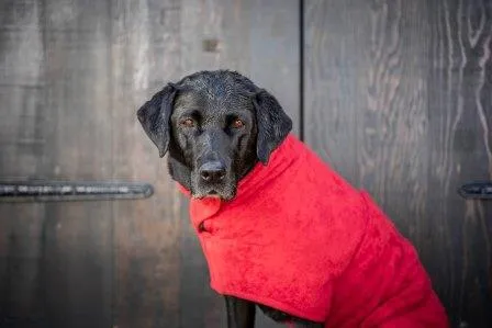 Ruff and Tumble Dog Drying Coat - Brick Red