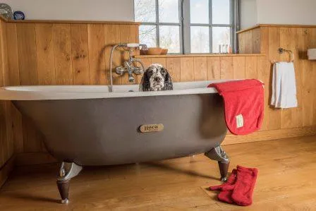 Ruff and Tumble Dog Drying Coat - Brick Red
