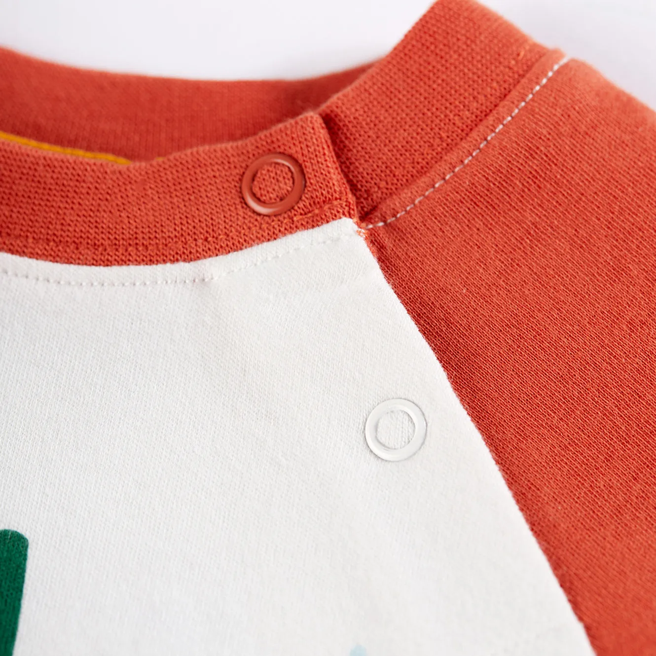 Stay wild raglan top